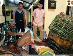 Arena Sabung Ayam di Kebun Bambu Digerebek Polisi, Sejumlah Barang Bukti Diamankan