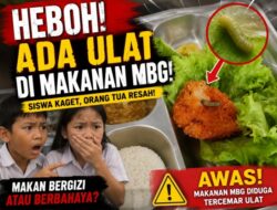 Geger! Menu MBG di SDN 3 Tegalgede Diduga Berulat, SPPG Neglasari 2 Langsung Ambil Tindakan
