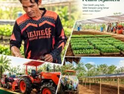 Kelompok Tani Can Lihey Karyasari Siapkan Bibit untuk Petani Cibalong