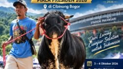 Dari Cianjur Selatan, Rizal Farm Bawa Sapi ke Kontes APPSI Piala Presiden 2026